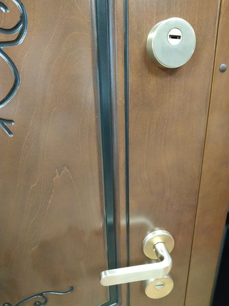 Дверь металлическая входная 205\91 см. левосторонняя Фанера влагостойкая фото