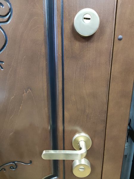 Двері металеві вхідні 205\91 см. лівосторонні Фанера влагостойкая фото