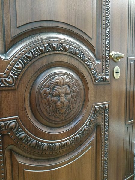 Дверь металлическая входная 205\91 см. левосторонняя Лев фото