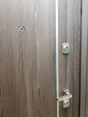 Дверь металлическая входная 205\91 см. левосторонняя. Дуб голифакс фото
